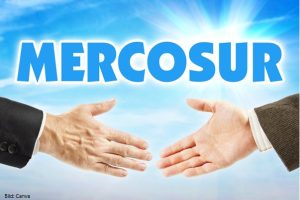 Mercosur – Fluch und Segen?